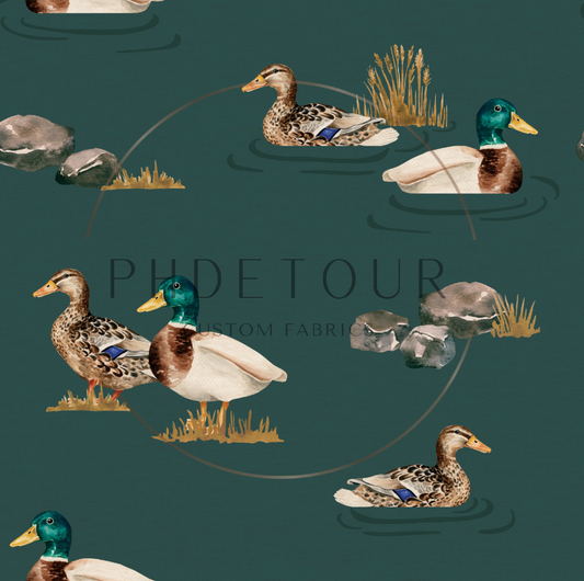 Organic Cotton Lycra - Mallards on Green